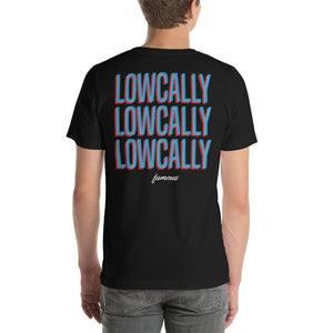 Lowcally Famous 3D
